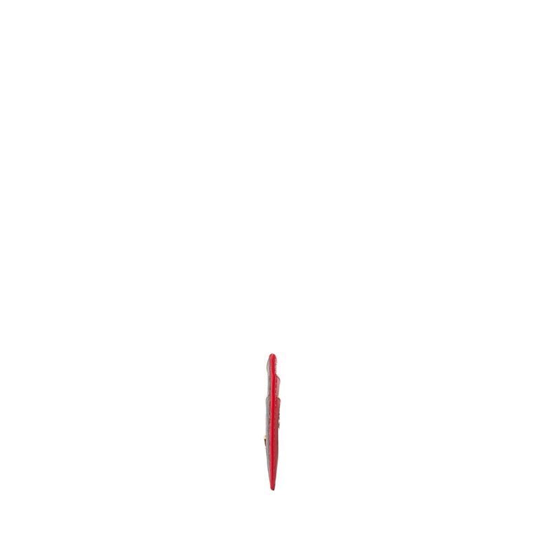 tarjetero-plano-cafe-rojo-primario-basico_3.jpg