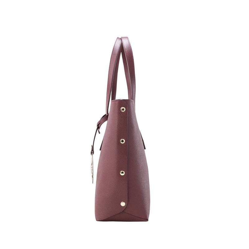 tote-alas-mediano-borgona-sur_3.jpg