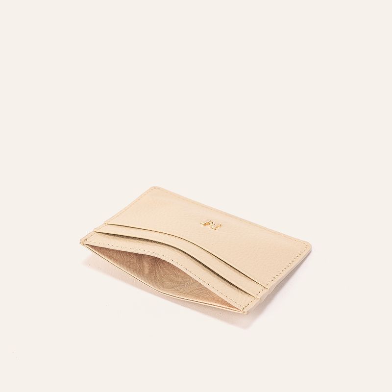 tarjetero-plano-beige-sur_2