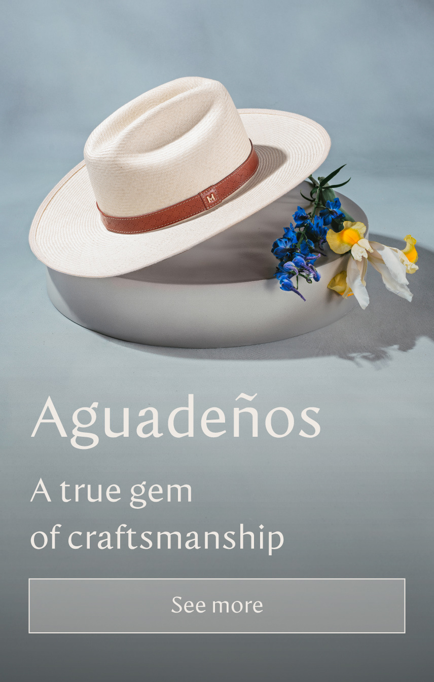 Promotional Banner